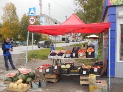 Государственным инспектором отдела восточного межрайонного пункта г. Чусовой произведена регистрация поднадзорных объектов в г. Чусовой