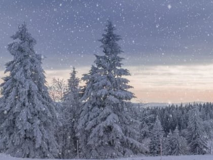 В Пермском крае ожидается масштабное арктическое вторжение