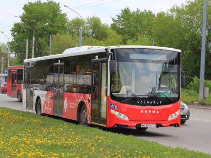 Мэрия Перми утвердила рекомендации по развитию маршрутной сети