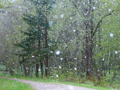 В Пермском крае на неделе с 20 по 25 мая ожидаются дожди, снег и заморозки