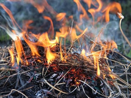 МЧС предупреждает о высокой пожарной опасности в Пермском крае с 6 по 7 августа