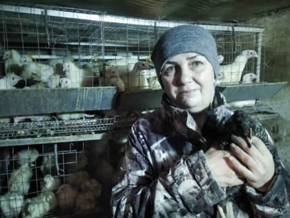 Сто тысяч на бизнес