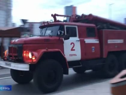 Пожар в жилом доме в Перми унес жизни человека и животных