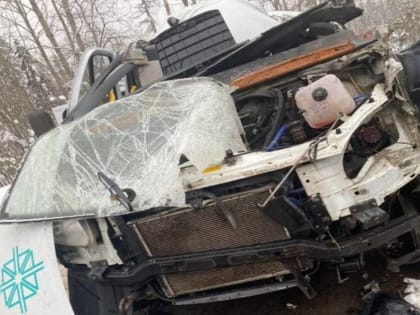 ДТП с четырьмя погибшими прокомментировала министр здравоохранения Пермского края