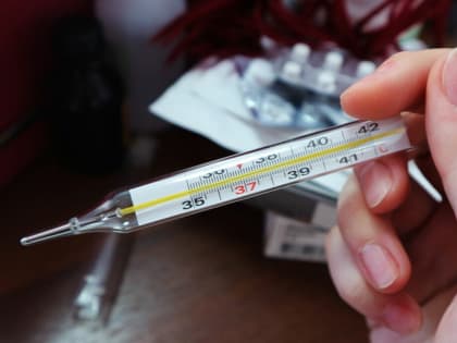 ОРВИ и грипп не отступают. За неделю в Чайковском заболело более 1000 человек