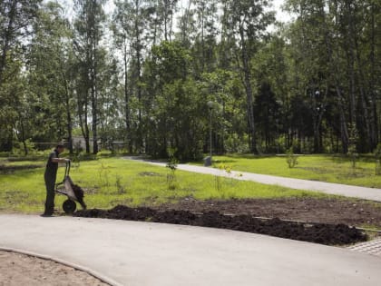 ​Мэрия Перми сдаст в аренду участок вблизи ТРК «СемьЯ» под парк отдыха