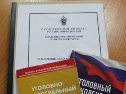 В городе Лысьва мужчина, обвиняемый в применении насилия в отношении сотрудника полиции, предстанет перед судом