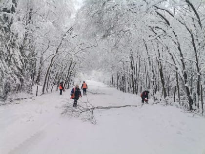 Снегопады в Пермском крае оставили жителей без электричества