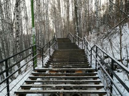 Новые инициативы в области устойчивого развития города