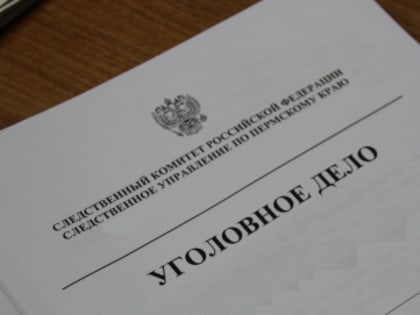 В Пермском крае подросток признан виновным в вымогательстве