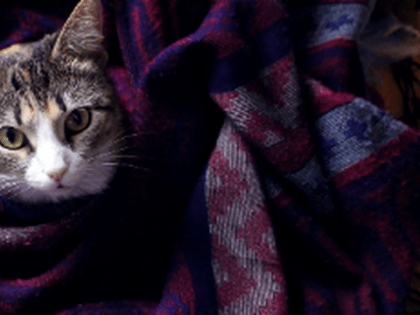 В Прикамье на неделе ожидаются морозы до -36 градусов