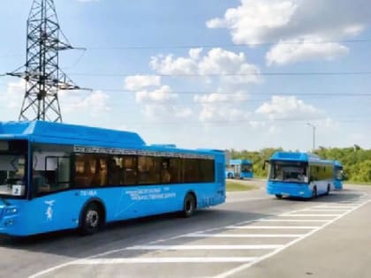 Обмен военнопленными между Россией и Украиной: 103 солдата возвращены домой