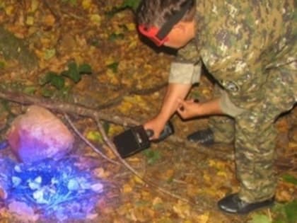 Убийцу медсестры из Чусового отправили в колонию на 20 лет