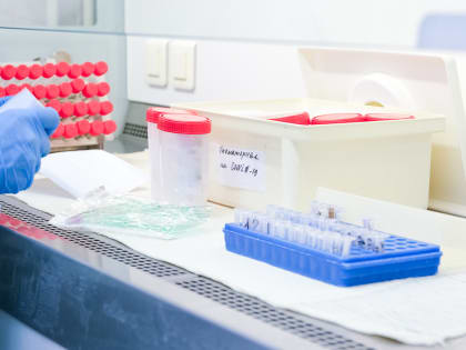 В Пермском крае за время пандемии проведено более 6,5 млн исследований на коронавирус