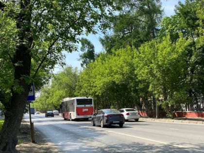 В Прикамье установили рекорды максимальной температуры воздуха за последние 60 лет