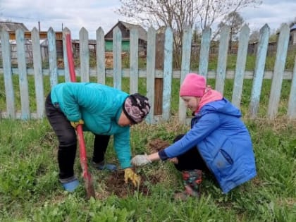 Жители Юрлинского муниципального округа приняли участие в Международной акции «Сад памяти»