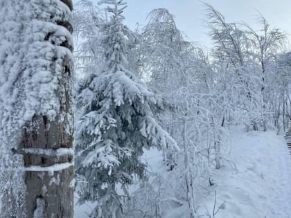 В Пермском крае ожидается длительное похолодание с морозами до -25…-30˚