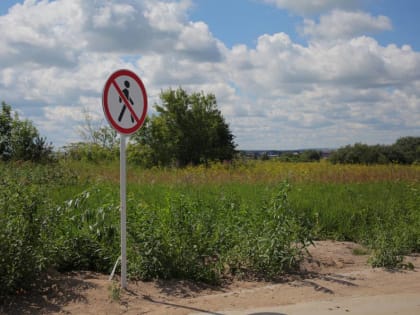 Власти Пермского края представили новый подход по борьбе с борщевиком