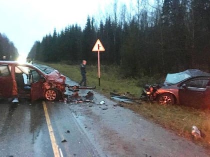 В Прикамье завели дело после гибели ребенка и женщины в ДТП