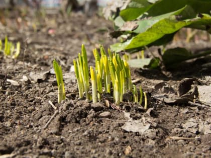 В выходные в Пермском крае ожидается сильное потепление