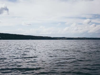 ​В Перми в Каме массово гибнет рыба