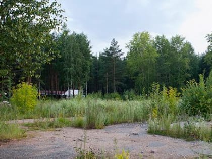 В Перми депутаты отложили рассмотрение вопроса об изменении границ Черняевского леса