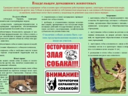 Содержание домашних животных на территории Кудымкарского муниципального округа Пермского края