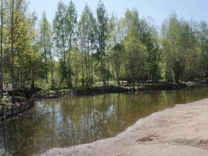 ​Участники экологического забега собрали в Черняевском лесу более тонны мусора