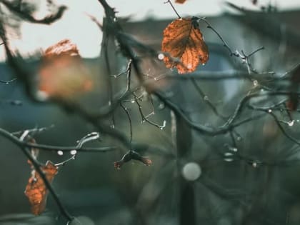 В Пермском крае в ближайшие дни ожидается дождливая погода