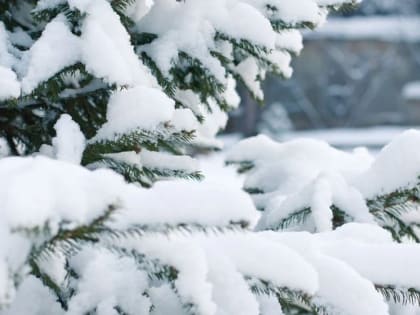 В Пермском крае на неделе ожидаются снегопады и потепление до +2 градусов