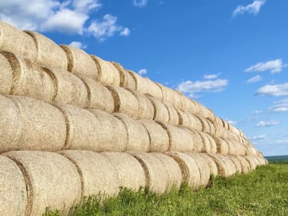 ​Жара и грозы: синоптики рассказали, какой будет погода в августе