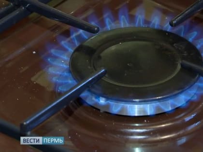 Лжегазовики обманули более 300 жителей Прикамья
