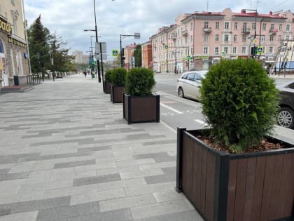 На улице Ленина в центре Перми устанавливают кадки с туями