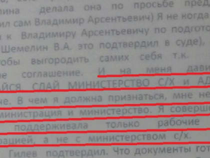 Пенсионерку осудили за то, что она помогла ИП получить субсидии