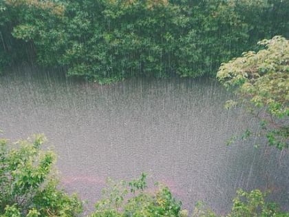 В Пермском крае ожидается похолодание и дожди