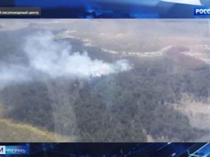 Пожарный десант потушил лесной пожар в Гайнском округе