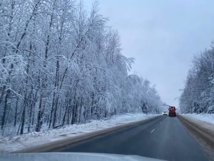 Трагедия на дороге: четыре человека погибли в Пермском крае