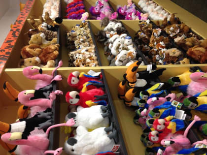 В Пермском крае работал передвижной цирк без лицензии на использование животных