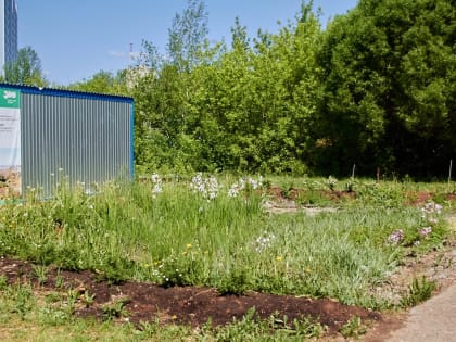 В Перми в долинах малых рек продолжается проектирование дождевых садов