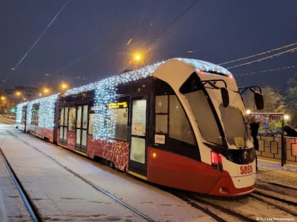 Общественный транспорт Перми выполнил годовой план по доходам