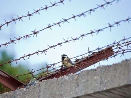 Влюбленные наркосбытчики не смогли обжаловать приговор суда