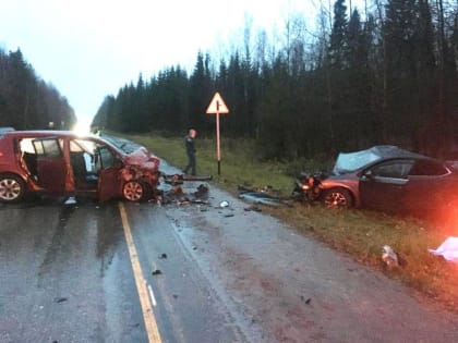 В ДТП в Добрянском районе погибли девочка и женщина