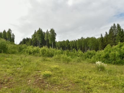 Экономическое развитие города: вызовы и перспективы