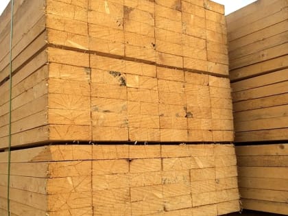 Возле Лысьвы работница торговли построит лесопильный цех