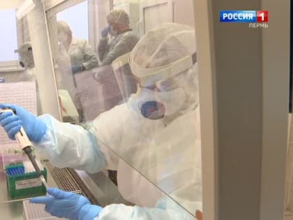 За сутки в Пермском крае выявлено 195 случаев COVID-19