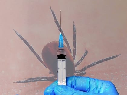 Власти Прикамья закупят партию вакцины для профилактики энцефалита у детей с 3 лет – 191,15 тысячи доз