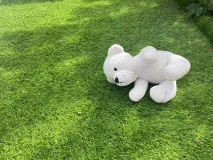 В Прикамье за три года почти на треть снизилось количество детей с аутизмом