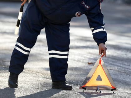 В Прикамье на трассе произошло смертельное ДТП