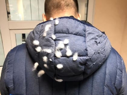 Экс-депутат, инсценировавший нападение, пытается обжаловать приговор
