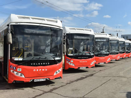 Власти Прикамья объяснили, почему мигрантам снова запретят работать водителями автобусов